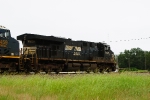 NS 7525